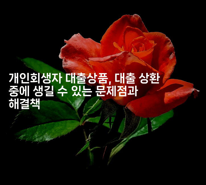 개인회생자 대출상품, 대출 상환 중에 생길 수 있는 문제점과 해결책-언어보물