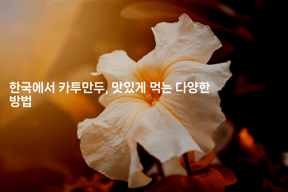 한국에서 카투만두, 맛있게 먹는 다양한 방법2-언어보물