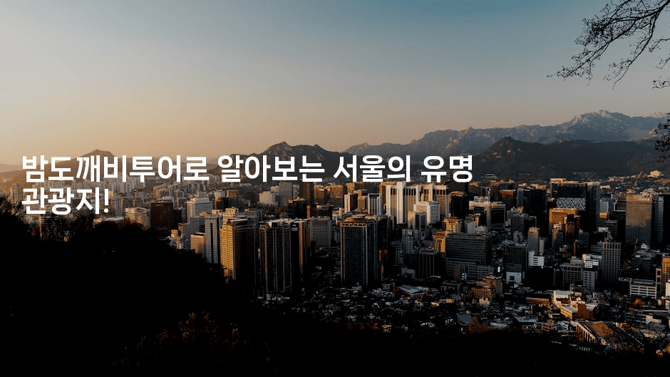 밤도깨비투어로 알아보는 서울의 유명 관광지!2-언어보물