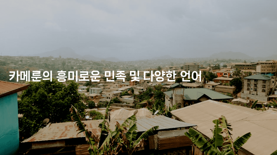 카메룬의 흥미로운 민족 및 다양한 언어2-언어보물