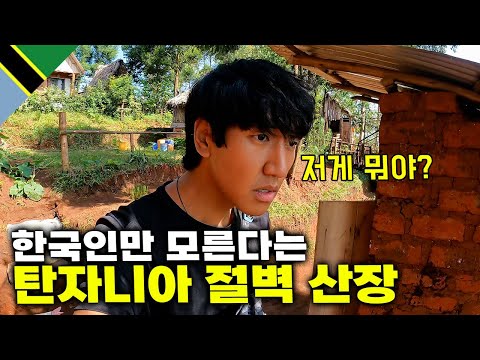 ?? #8 이거 때문에 여행 일정 다 바꾼 현지인만 가는 숨겨진 여행지 【아프리카 여행 45】