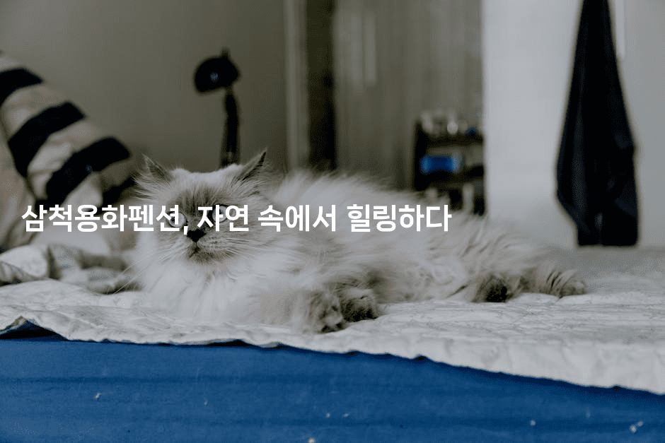 삼척용화펜션, 자연 속에서 힐링하다2-언어보물