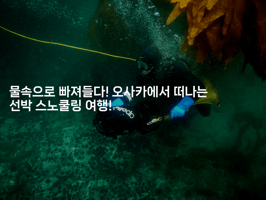 물속으로 빠져들다! 오사카에서 떠나는 선박 스노쿨링 여행!2-언어보물