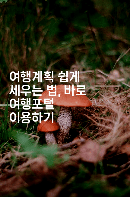 여행계획 쉽게 세우는 법, 바로 여행포털 이용하기2-언어보물