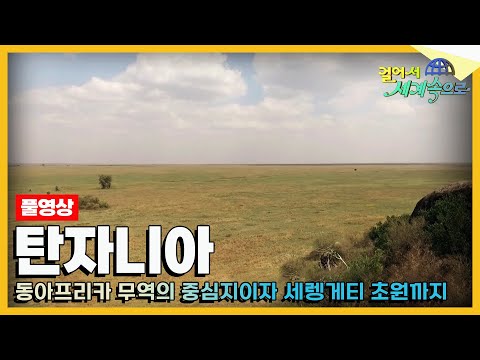 [#걸어서세계속으로Full?] 하쿠나마타타! 라이온킹의 실사판? 세렝게티  '탄자니아' 여행 Trip to Tanzania (KBS_20191005)