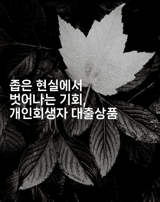 좁은 현실에서 벗어나는 기회, 개인회생자 대출상품-언어보물