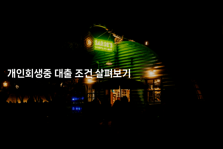 개인회생중 대출 조건 살펴보기-언어보물