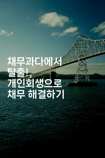 채무과다에서 탈출! 개인회생으로 채무 해결하기-언어보물