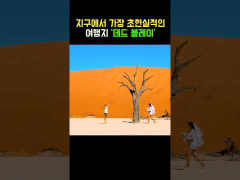 세계여행지 1위? 미쳤다!?#세겨여행 #결혼 #아프리카여행