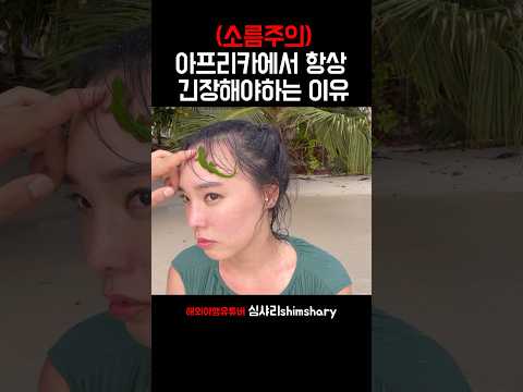 아프리카 세이셸 여행 중 소름끼친 일