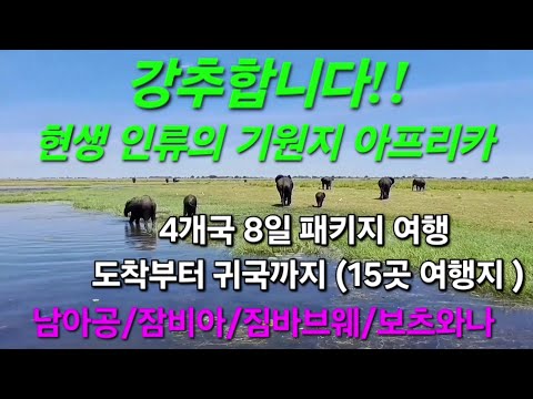 강추합니다!! 현생 인류의 기원지 아프리카 4개국 8일 패키지 여행 도착부터 귀국까지 (15곳 여행지 )남아공/ 잠비아 / 짐바브웨 /보츠와나 #패키지여행 #아프리카