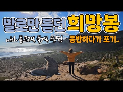 아프리카 day10|말로만 듣던 희망봉 등반! 평생 볼 돌고래와 물개 떼를 본 날! 알찼던 남아공 투어