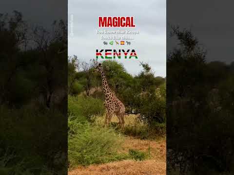 Kenya's Hidden Magic: The Secrets of the Safari