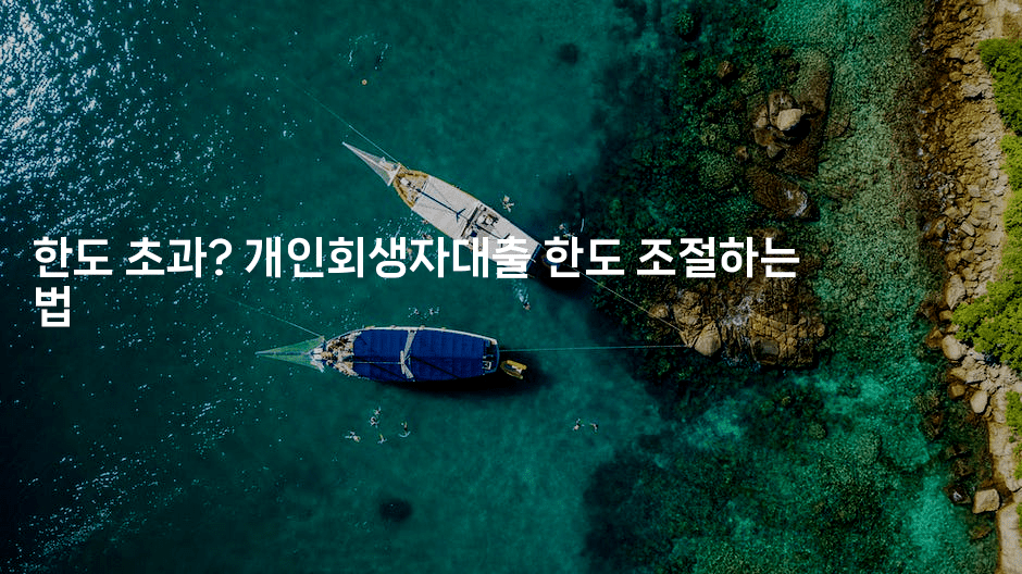 한도 초과? 개인회생자대출 한도 조절하는 법