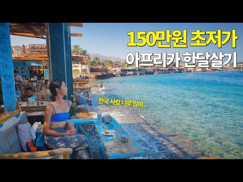 한국인들이 쏟아져 나오는 이상한 나라 [아프리카 2]