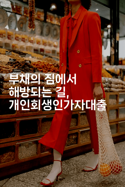 부채의 짐에서 해방되는 길, 개인회생인가자대출-언어보물