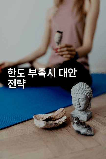 한도 부족시 대안 전략-언어보물