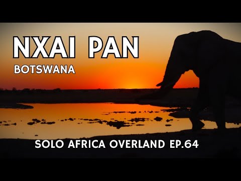 Nxai Pan: A Solo Overland Journey Through the Heart of Africa
