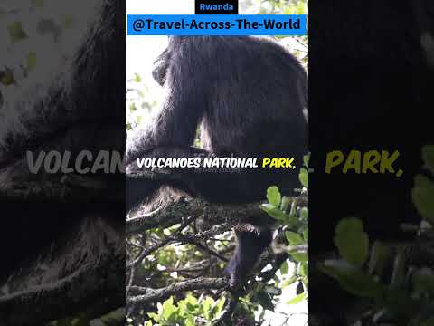 Wonders of Rwanda | The Most Amazing Places in Rwanda | Rwanda Travel guide.