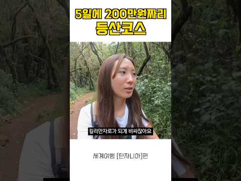 킬리만자로 등반에 200만원이 드는 이유 #킬리만자로 #아프리카여행 #탄자니아