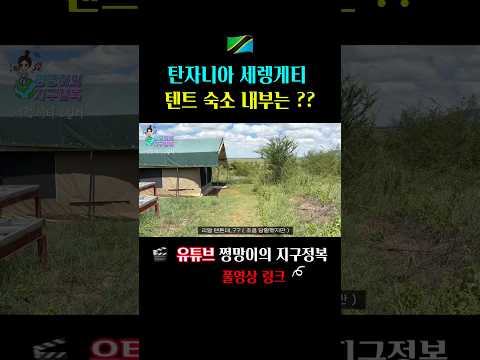 탄자니아 세렝게티 한가운데 텐트 숙소 내부는 과연..?! #africatravel #아프리카여행 #탄자니아 #사파리 #tanzaniatravel #serengetisafari