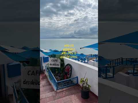 #travelshorts #tunisianfood #sidibousaid #아프리카 #시디부사이드