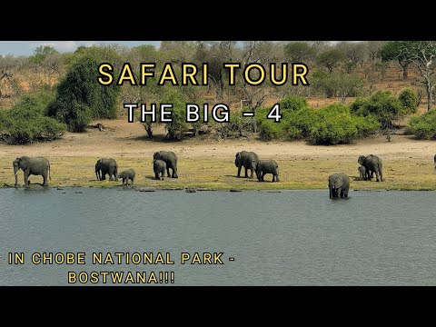 Ep.03 We Found the Big 4 in One Day! | Epic Safari in Chobe National Park, Botswana #SafariAdventure