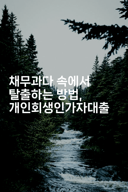 채무과다 속에서 탈출하는 방법, 개인회생인가자대출